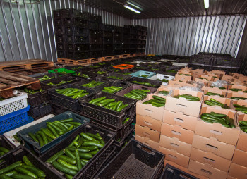 The existing agricultural complex in Kherson